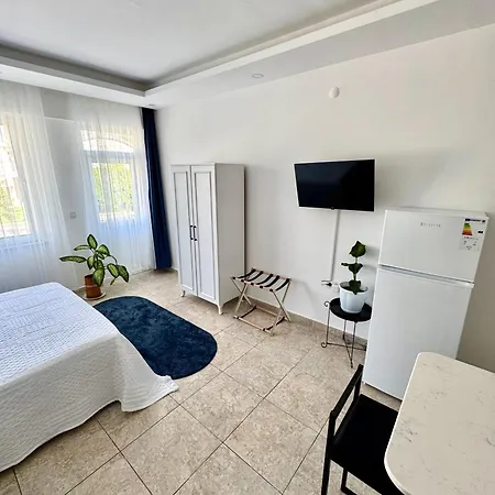 Apartment Eda Sultan - 5 Min Walk To Goeynuek *
